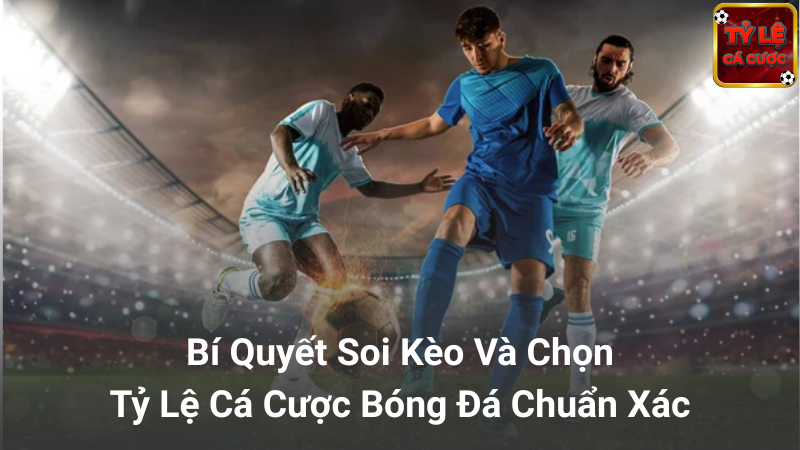 Cách áp dụng tỷ lệ cá cược hiệu quả