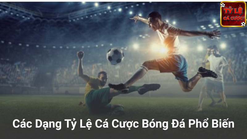 Các loại tỷ lệ cá cược phổ biến