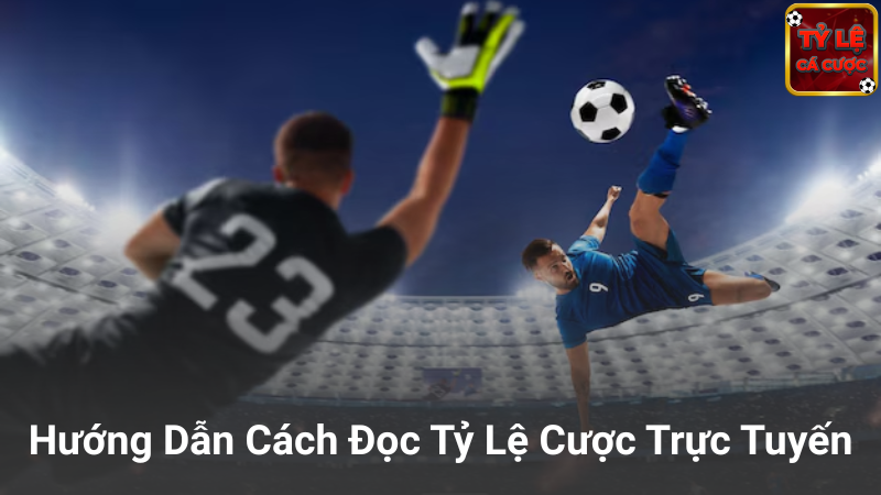 Cách đọc tỷ lệ cá cược thông minh