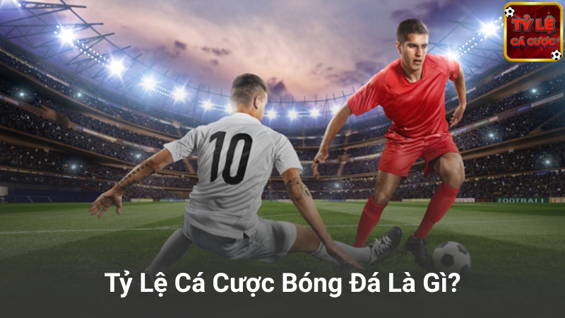 Tỷ lệ cá cược là gì?